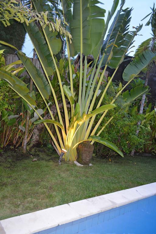 Villa Raquel Seminyak  Ruang foto